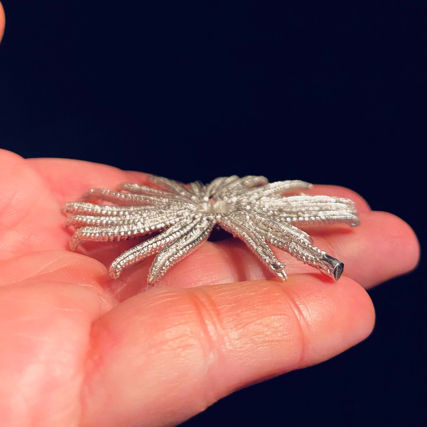 Sunflower Sea Star Casting for Jewelry Design