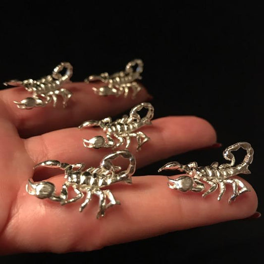 Cast Scorpion for Jewelry Design