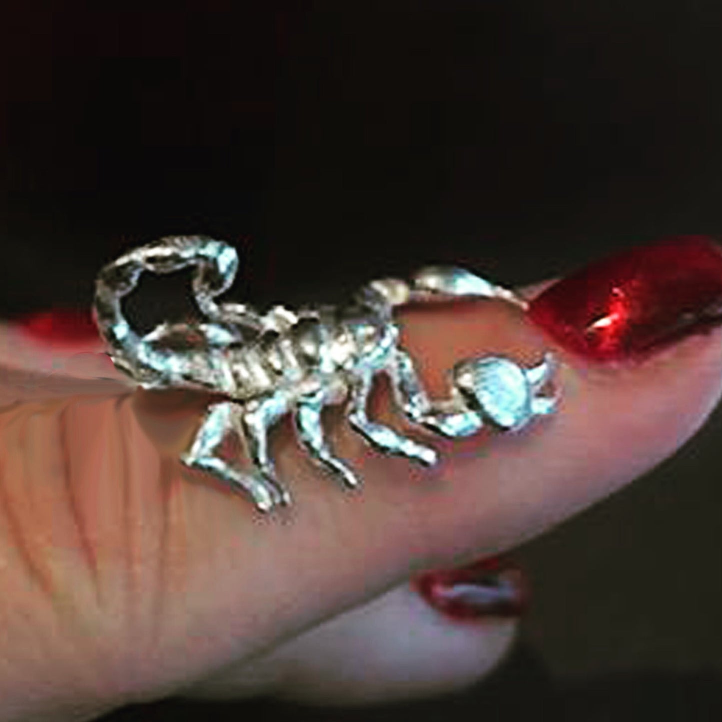 Cast Scorpion for Jewelry Design